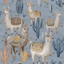 17113-Alpaca