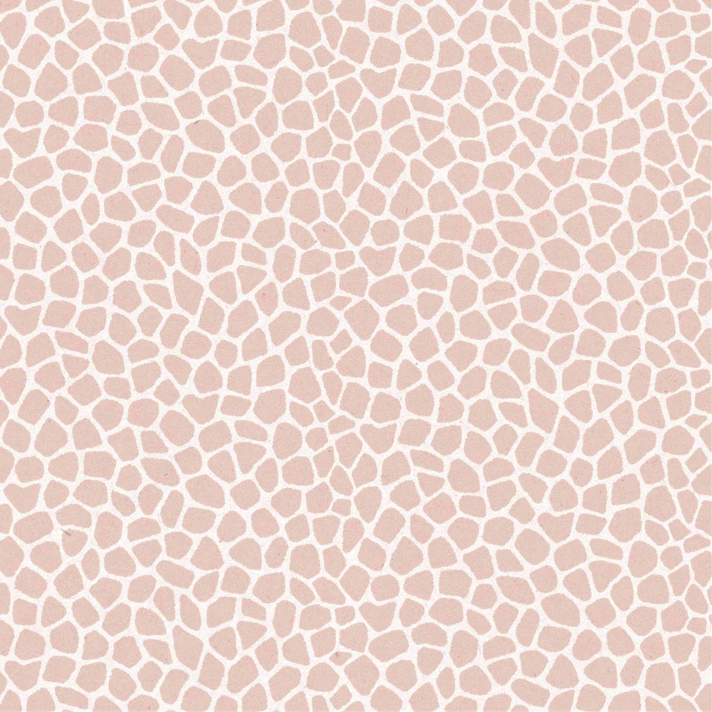 17184-Skin