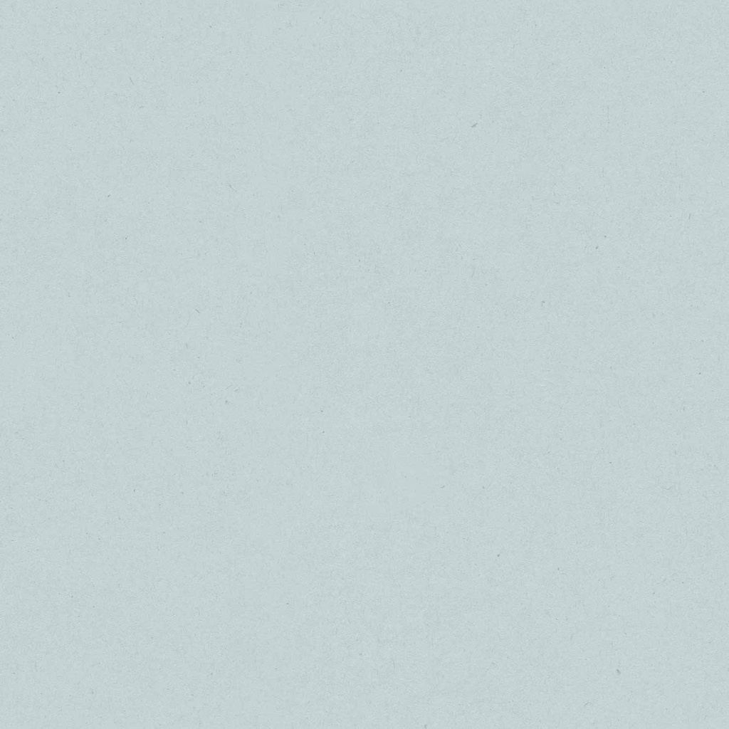 17193-Paper
