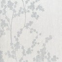 26940143-Aloes