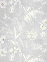 26919122-Posidonie