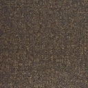 72530419-Caiman